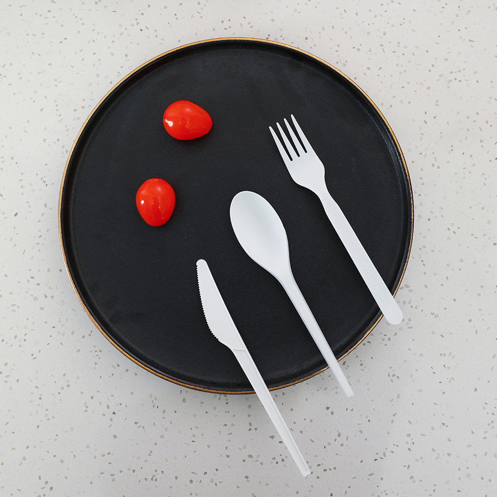 DISPOSABLE CUTLERY